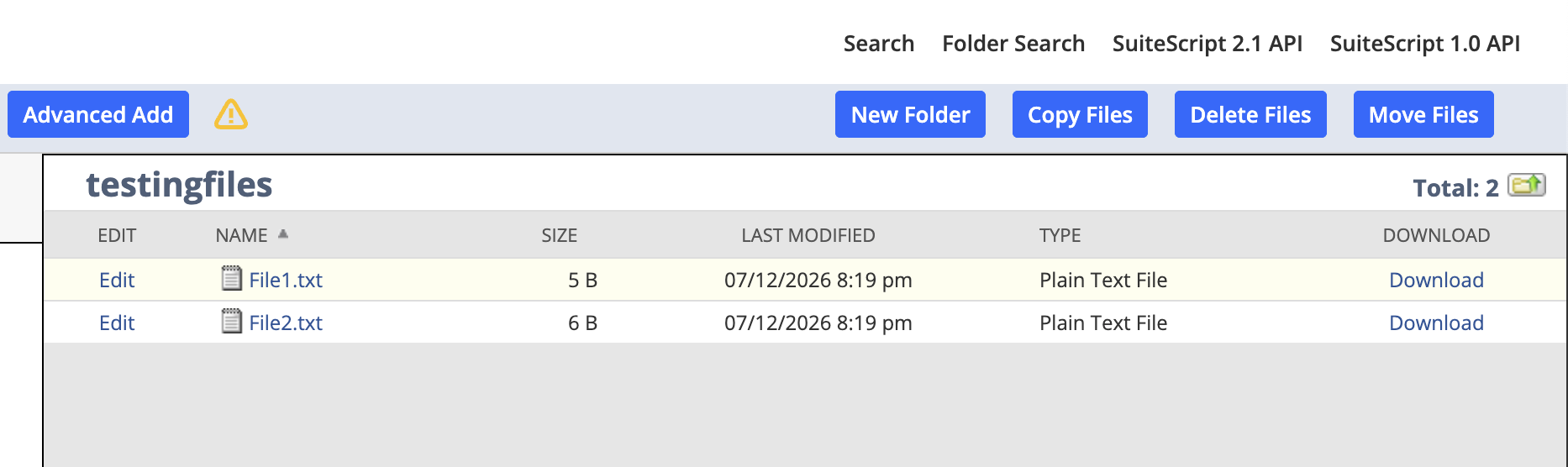 NetSuite File Cabinet Files