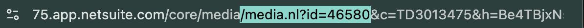 NetSuite File ID