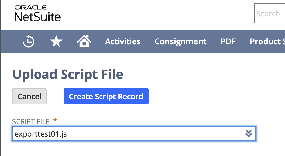 NetSuite Script File Name