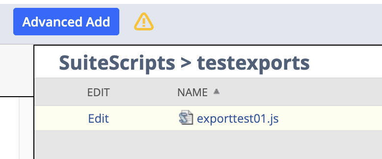 NetSuite SuiteScript JS File