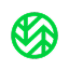 Wasabi Icon